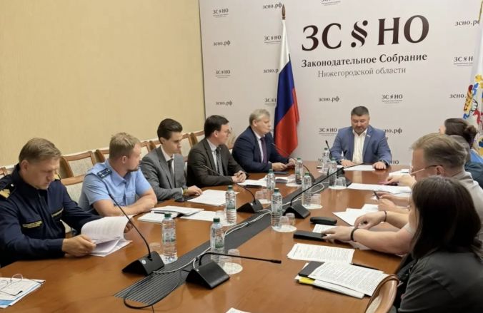 Атмахов рассказал о ситуации с бесхозным гидросооружением в Городецком округе - фото 4