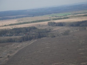За нижегородскими лесами будут следить из космоса