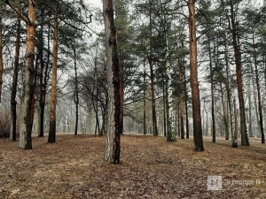 Парку «Швейцария» вернули утраченные территории