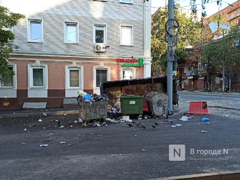 Нижегородцы пожаловались на ужасное состояние мусорной площадки на улице Фрунзе - фото 1