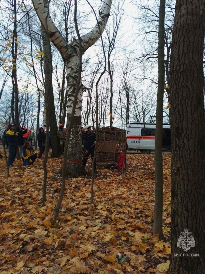 Нижегородский парапланерист врезался в дерево в парке &laquo;Швейцария&raquo; - фото 2