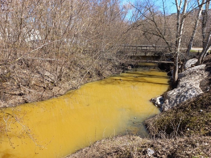 Нижегородское Минэкологии займется окрасившейся в желтый рекой Борзовкой - фото 1