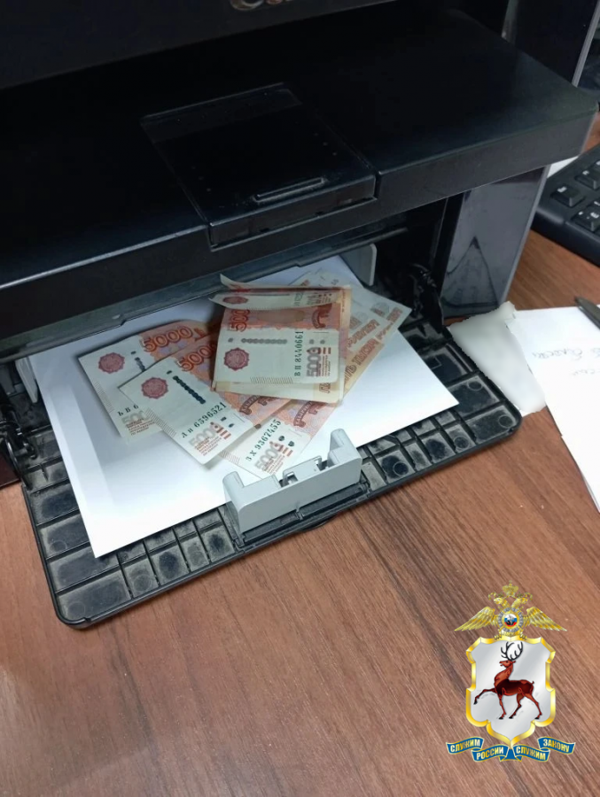 Нижегородец пытался дать взятку полицейскому за освобождение мигранта-нарушителя - фото 1