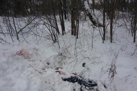 Мама нижегородки, убитой мужем на улице Суетинской, рассказала подробности трагедии