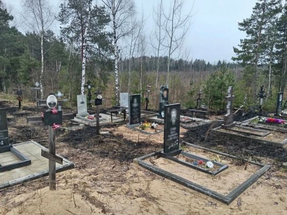&laquo;Бесовщина в чистом виде&raquo;: пожар произошел на кладбище в Нижнем Новгороде - фото 2