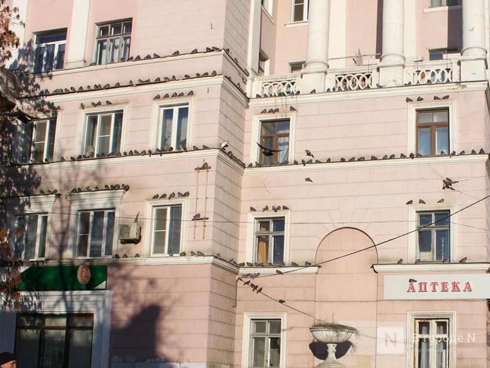 Более 45 домов в заречной части Нижнего Новгорода попадают под реновацию