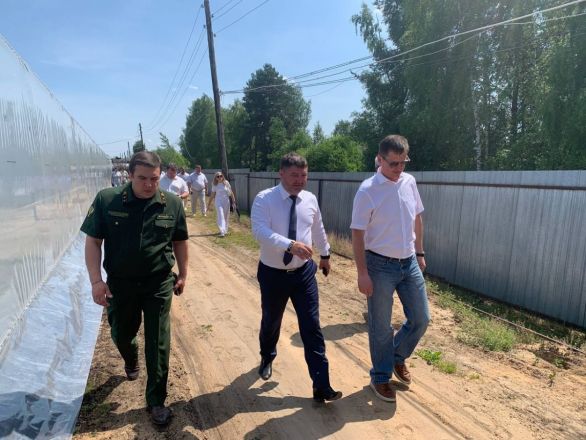 Нижегородские депутаты изучили в Семенове процесс восстановления лесов - фото 5