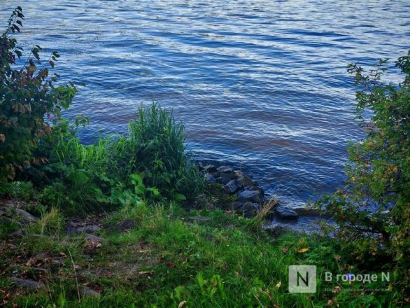 Город с открытки: почему Плес привлекает туристов и стоит ли вообще туда ехать - фото 36