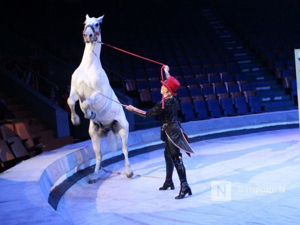 Возвращение &laquo;Бурлеска&raquo;: Нижегородский цирк открывается уникальным шоу Гии Эрадзе - фото 38