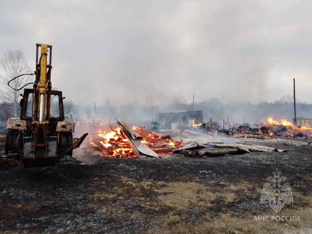 Сухая трава и постройки загорелись в деревне Воскресенского района - фото 1
