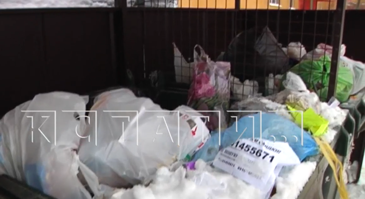 Коммунальщик избил жителя Городца из-за видео с вывозом мусора - фото 1