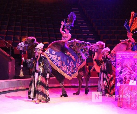 &laquo;Песчаную сказку&raquo; Гии Эрадзе покажут в нижегородском цирке - фото 49