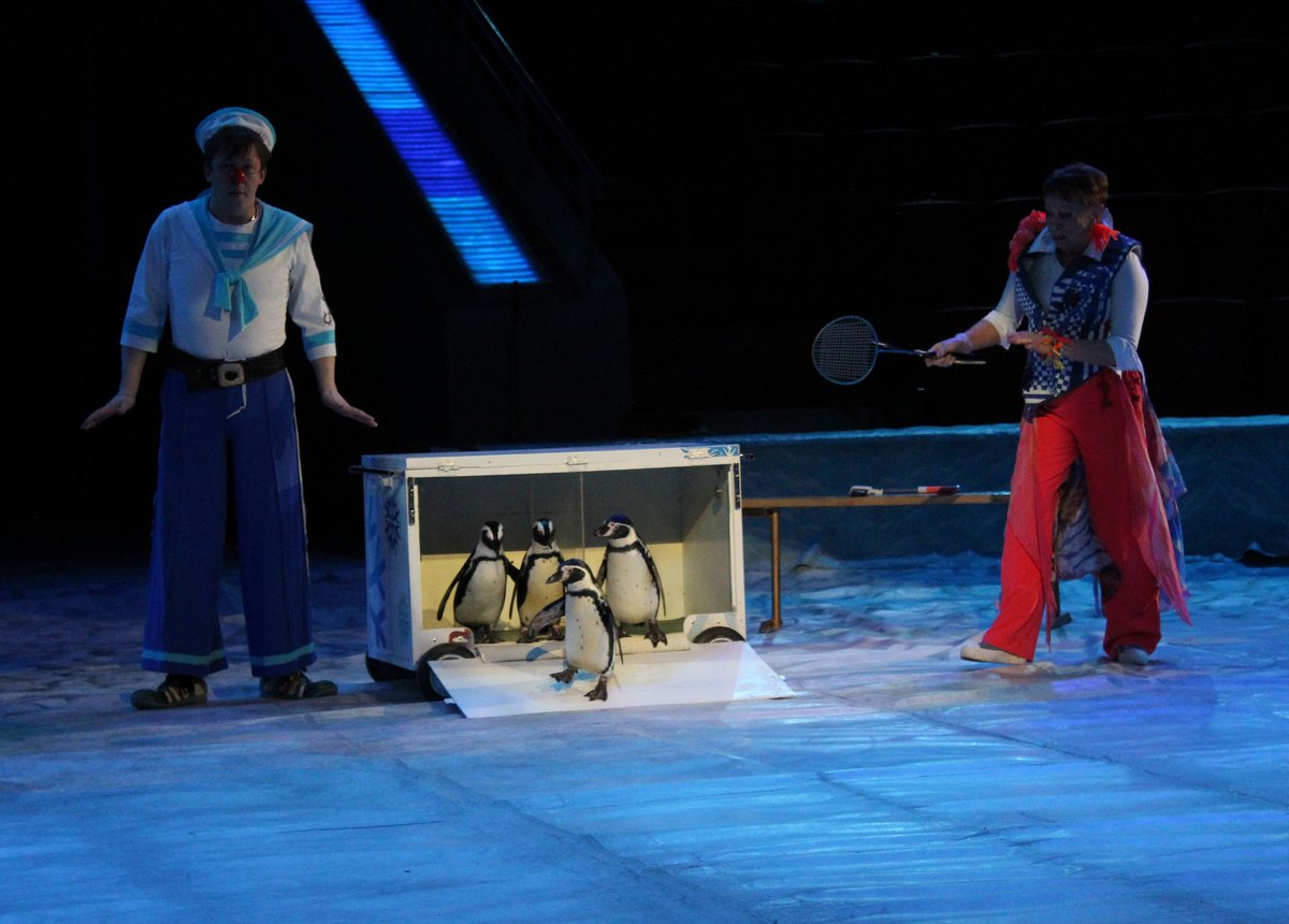 Пингвины на манеже: новогоднее шоу в нижегородском цирке - фото 3