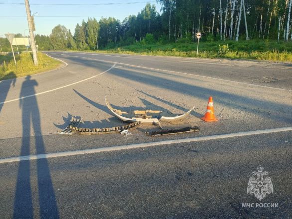 Опубликованы фото с места ДТП с пострадавшими на Бору - фото 2